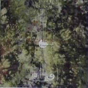 性淫中国老太太
